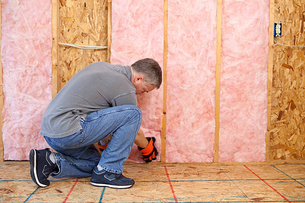 Best Commercial Insulation Contractor  in Huachuca City, AZ