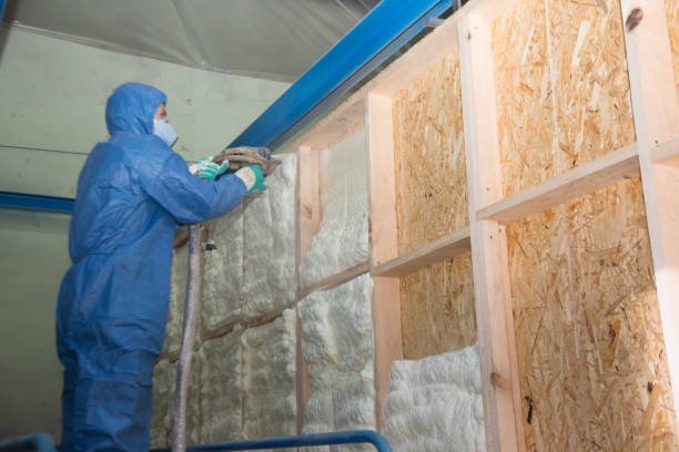 Best Blown-in Insulation  in Huachuca City, AZ